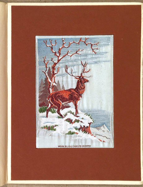 Stag with snow scene