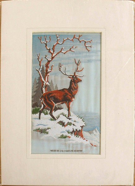 Stag with snow scene