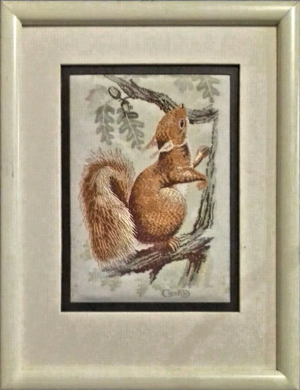 J & J Cash woven picture with image of a Red Squirrel climbing a tree