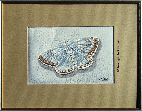J & J Cash woven picture with no words, but image of a Common Blue butterfly only