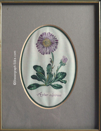 J & J Cash woven picture of a flower, with title words of Aster alpinus