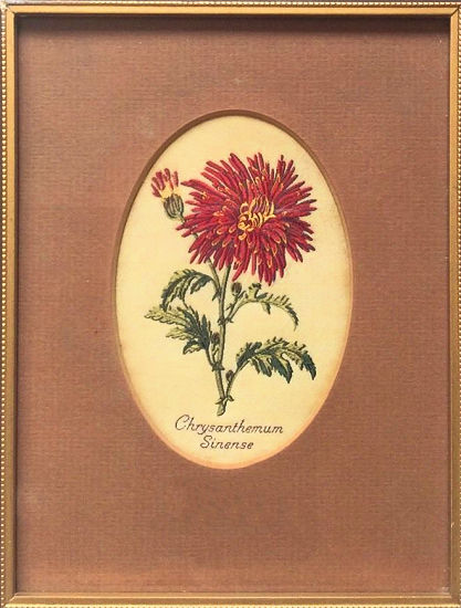 J & J Cash woven picture of a flower, with title words of Chrysanthemum Sinense