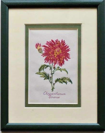 J & J Cash woven picture of a flower, with title words of Chrysanthemum Sinense