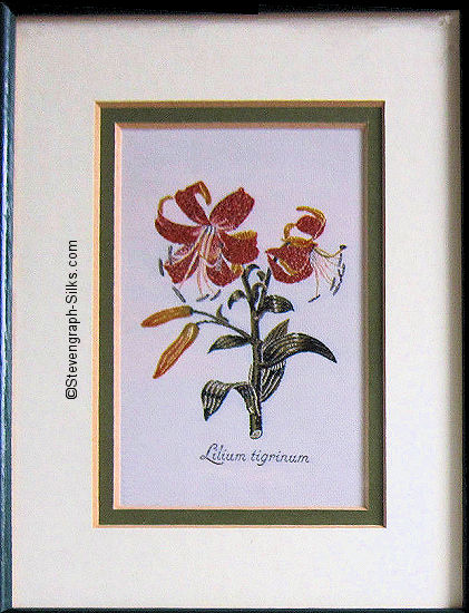 J & J Cash woven picture of a flower, with title words of Lilium tigrinum
