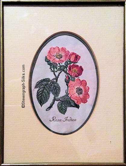 J & J Cash woven picture of a flower, with title words of Rosa Indica