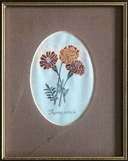 J & J Cash woven picture of a flower, with title words of Tagetes patula