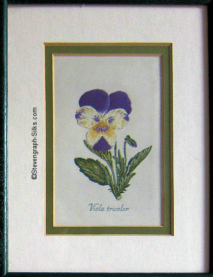 J & J Cash woven picture of a flower, with title words of Viola tricolor