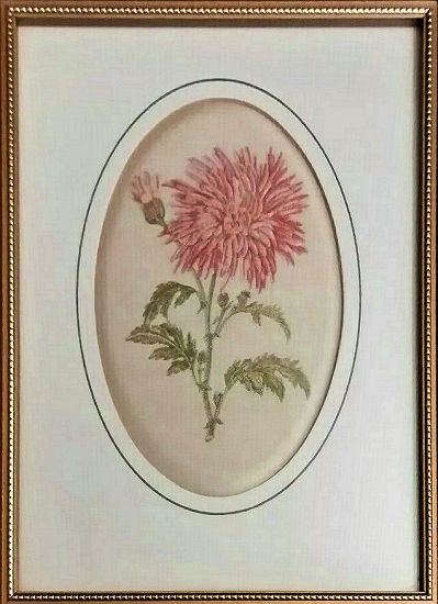 J & J Cash woven picture of a Chrysanthemum