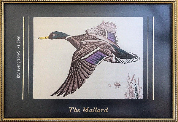picture with image of a mallard duck, and title words printed beneath