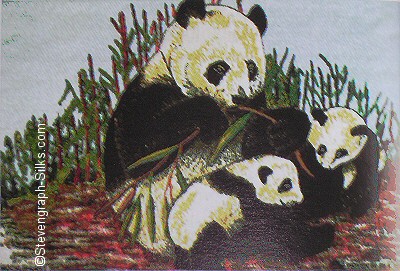 Brocklehurst-Whiston (BWA) silk image of a panda and two cubs