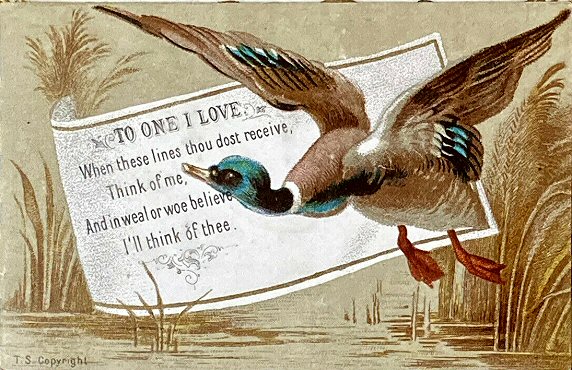 Bird printed card, with printed words - To One I LOve