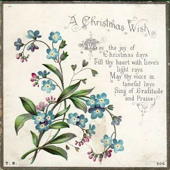 printed card with title words - A Christmas Wish