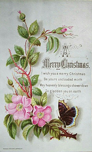 printed card with title words - A Merry Christmas / I wish you