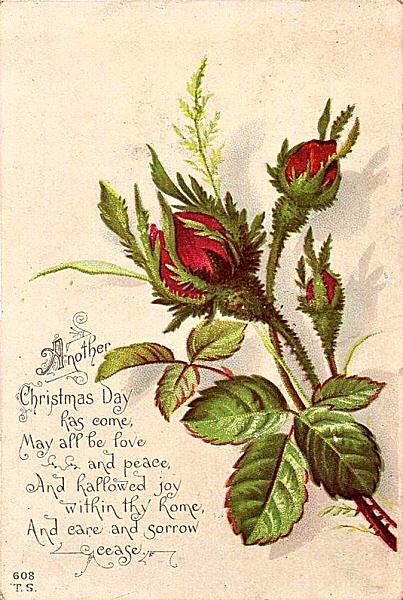 printed card with title words - Another Christmas day