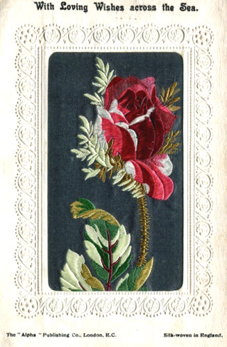 Stevens Alpha series postcard with image of a single red rose and printed words