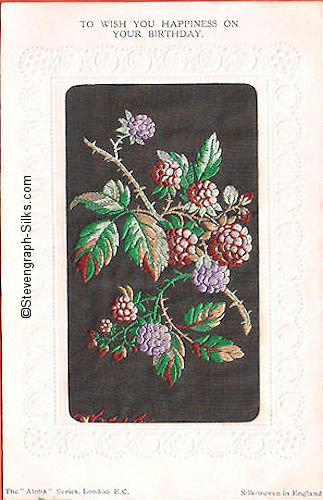 Stevens Alpha series postcard with no woven words, just image of blackberries, with printed title