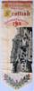 thumbnail image of this silk