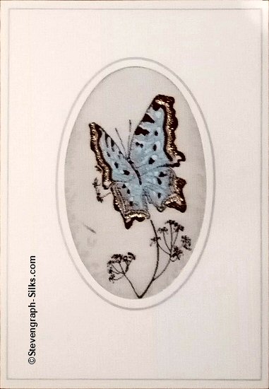 J & J Cash woven butterfly card, with no title words, but picture of a Blue & Black butterfly
