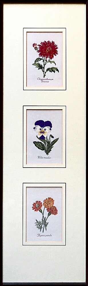 J & J Cash woven picture with three pictures in one frame; being Chrysanthemum, Viola & Tagetes Victorian flowers