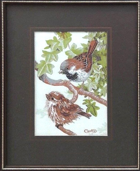 J & J Cash woven picture of a bird, with no words, but image of a House Sparrow and her chick
