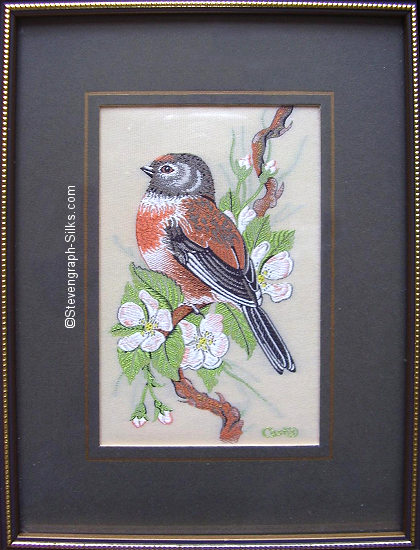 J & J Cash woven picture of a bird, with no words, but image of a Linnet