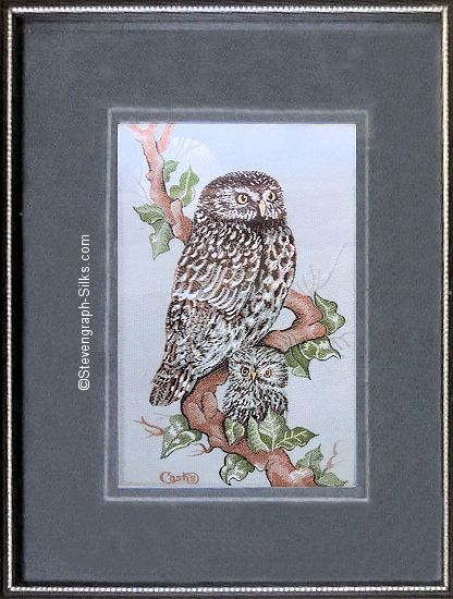 J & J Cash woven picture of a bird, with no words, but image of a Little Owl
