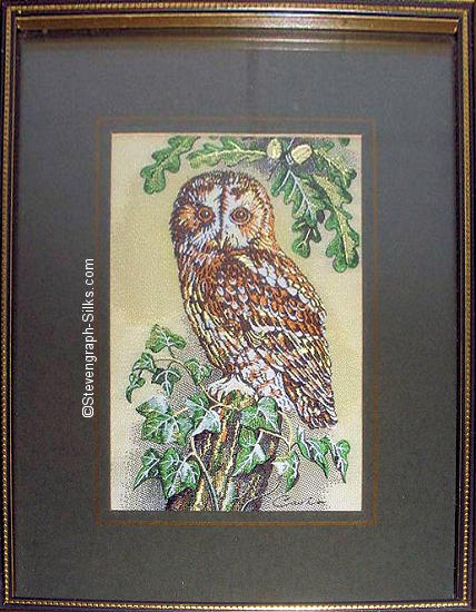 J & J Cash woven picture of a bird, with no words, but image of a Tawny Owl