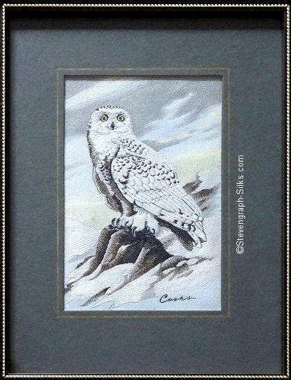 J & J Cash woven picture of a bird, with no words, but image of a Snowy Owl