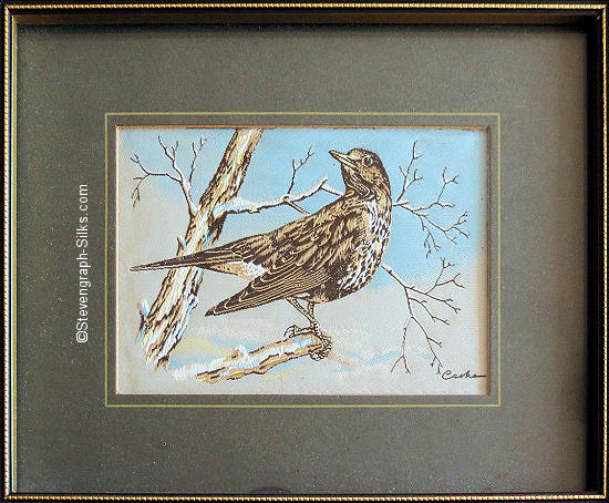 J & J Cash woven picture of a bird, with no words, but image of a Mistle Thrush on a tree branch