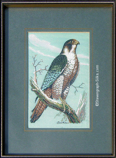 J & J Cash woven picture of a bird, with no words, but image of a Peregrine Falcon