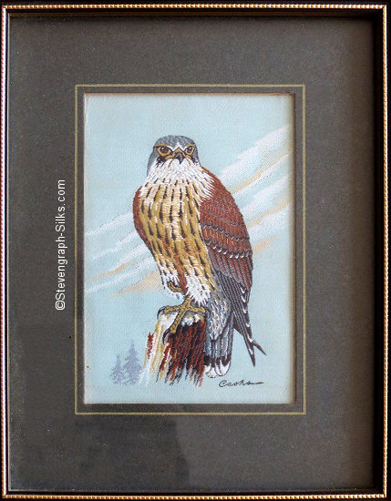 J & J Cash woven picture of a bird, with no words, but image of a Kestrel, perched on stump