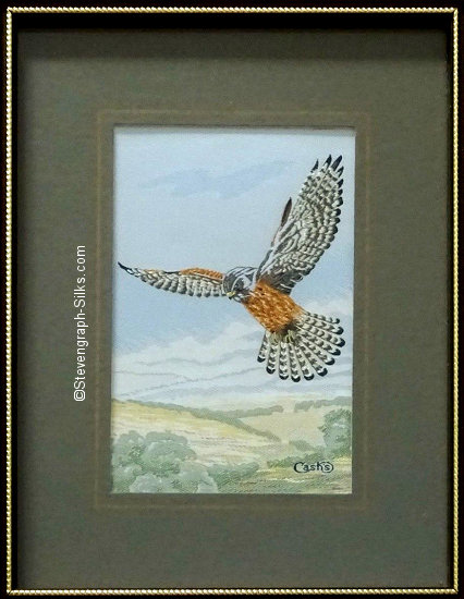J & J Cash woven picture of a bird, with no words, but image of a Kestrel, hovering in flight