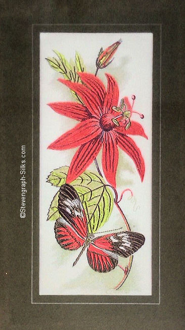 J & J Cash woven picture with no words, but image of a Passion Flower butterfly