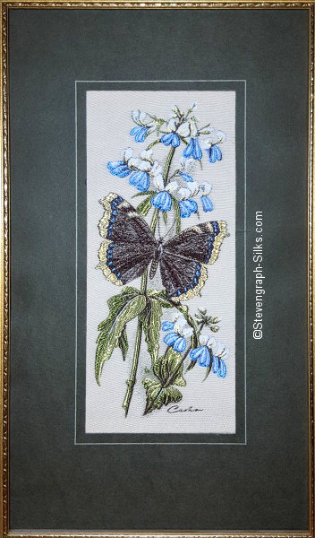 J & J Cash woven picture with no words, but image of a Morning Cloak (or Camberwell Beauty) butterfly & Blue Eyed Mary