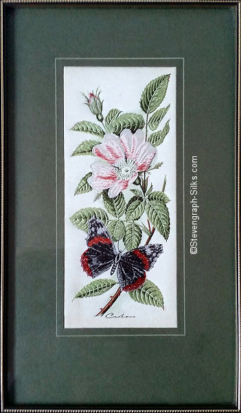 J & J Cash woven picture with no words, but image of a Red Admiral butterfly & Downy Rose