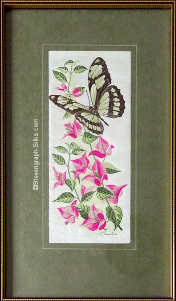 J & J Cash woven picture with no words, but image of a Green Helicon butterfly