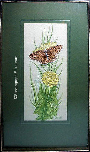 J & J Cash woven picture with no words, but image of a Queen of Spain butterfly
