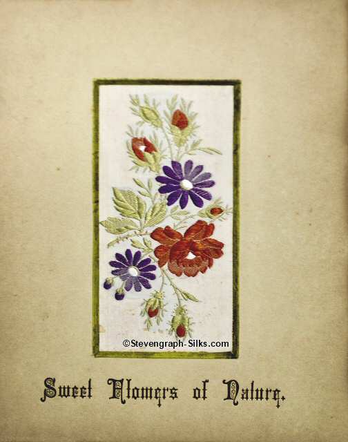 image of various flowers
